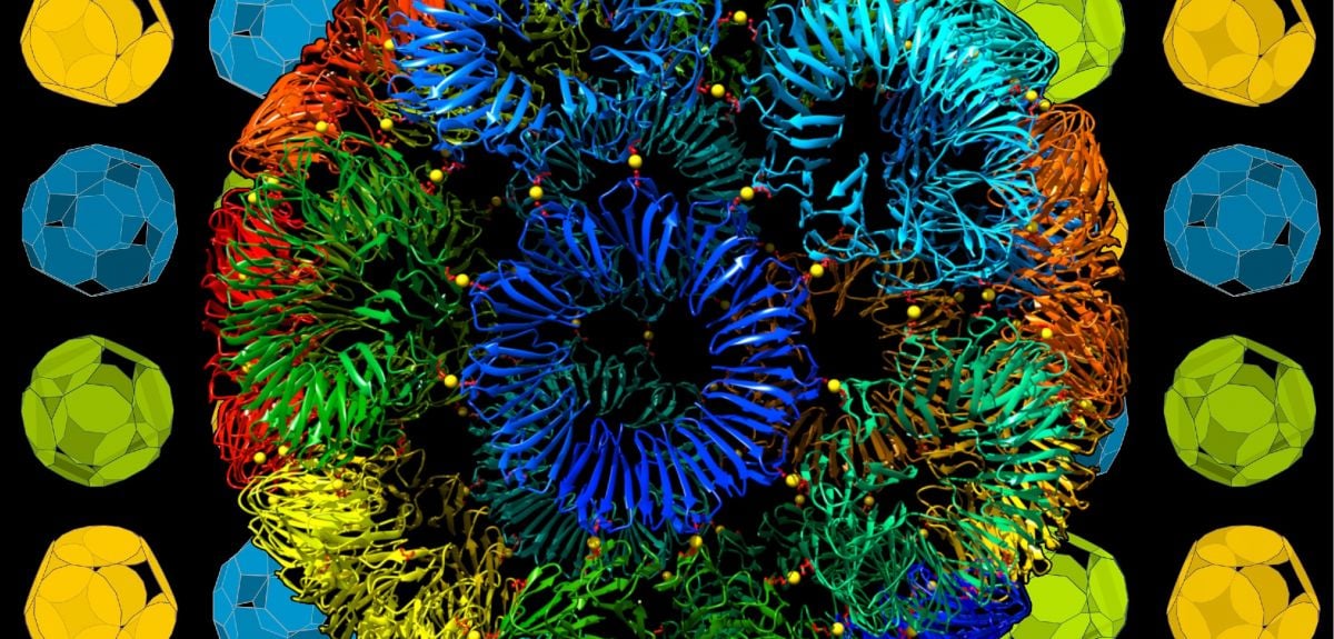 ‘Impossible’ nanosized protein cages made with the help of gold